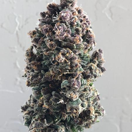 Purple Lemonade rf3 (a)