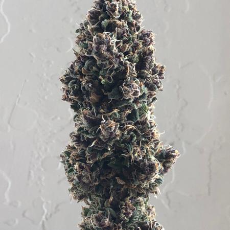 Strawberry Gorilla rf3