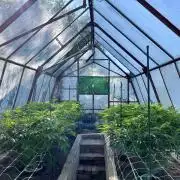 greenhouse26