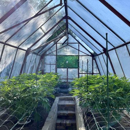 greenhouse26