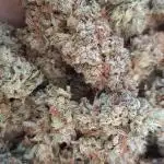 Banana Cream Sundae