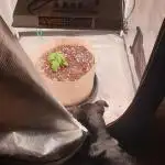 Chimera