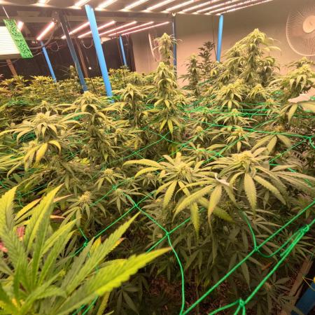 (notill) permanent marker rbx1