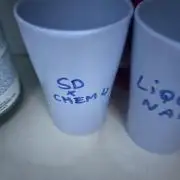 Sour Diesel x Chemdog #4