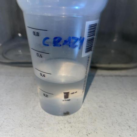 5150 Triangle Kush x Irene (Crazy Bitch)