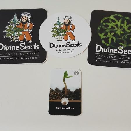 Auto Moon Rock Divine Seeds