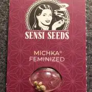 Michka / Sensi Seeds
