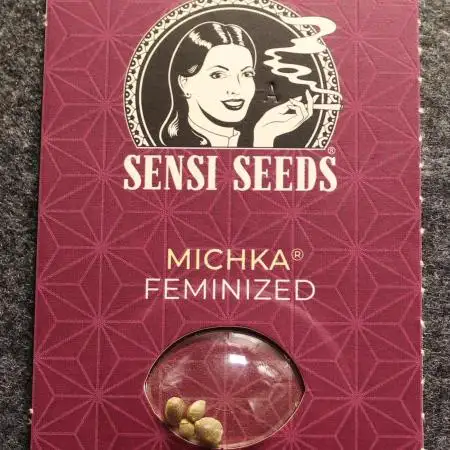Michka / Sensi Seeds