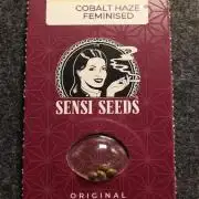 Cobalt Haze / Sensi Seeds