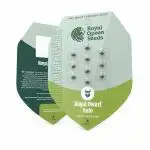 Royal Dwarf - Royal Queen Seeds