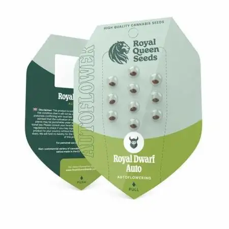 Royal Dwarf - Royal Queen Seeds