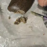 Hydro 🦄Cup-line