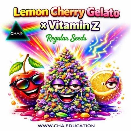 Phenohunting N1/2026 LCG x Vitamin Z