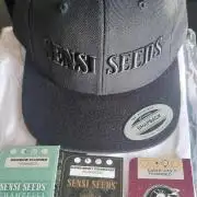 Sensi Seeds x Champelli