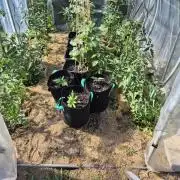 Outdoor Fastbuds grow 2026