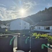 Outdoor Fastbuds grow 2026