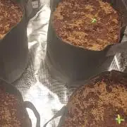 first grow with little help frm frnd