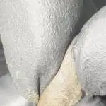 Bubble Hash 200g Trim + 2 Ounce Bud
