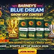 Grow Off Contest Blue Dream