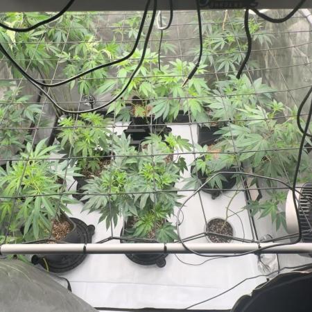 Lungbuster (time to bust in them lungs)
