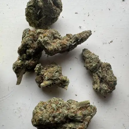 Terpgasm No Orgasm just Mutation GASM