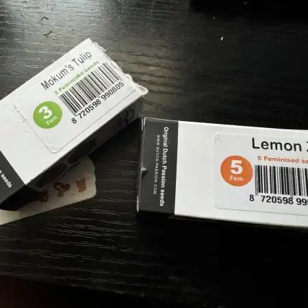 Dutch Passion Lemon Z