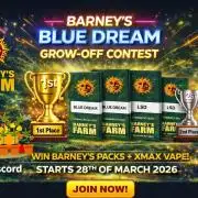 Grow Off Contest Blue Dream