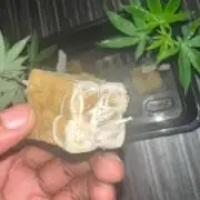 Barneys LSD Clones 2x