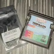 Square One Genetics – Chemferno