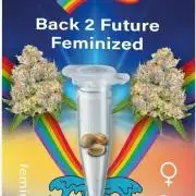 Back 2 Future (Bud Voyage)