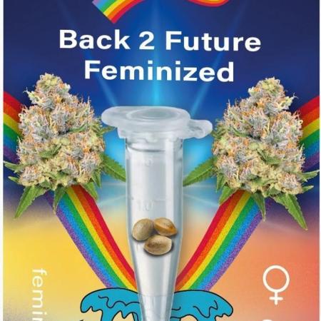 Back 2 Future (Bud Voyage)