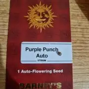 Barneys Farm Purple Punch Auto