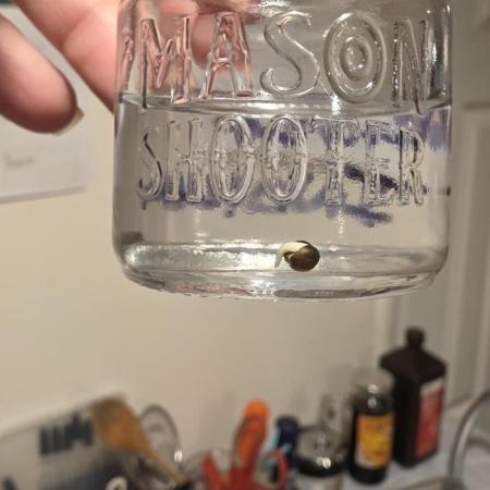 Pure Nirvana Photo Grow