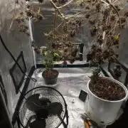  Forgot The Gas (Amnesia HazexNYC Deisel