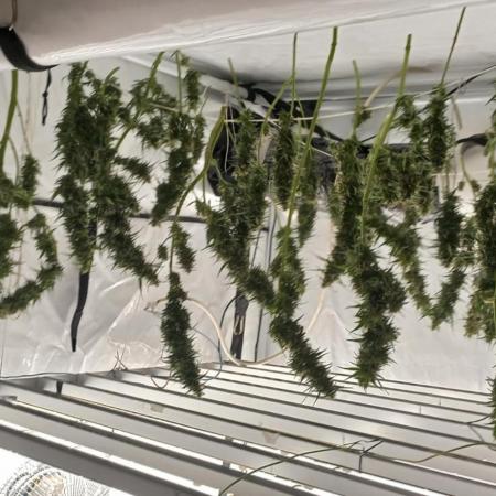 from out to indoor