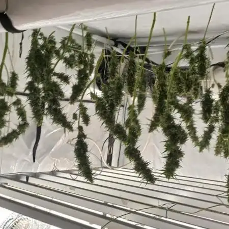 from out to indoor