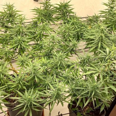 from out to indoor
