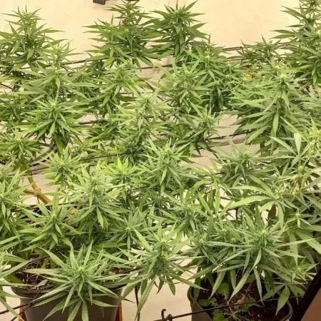 from out to indoor