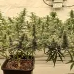 from out to indoor