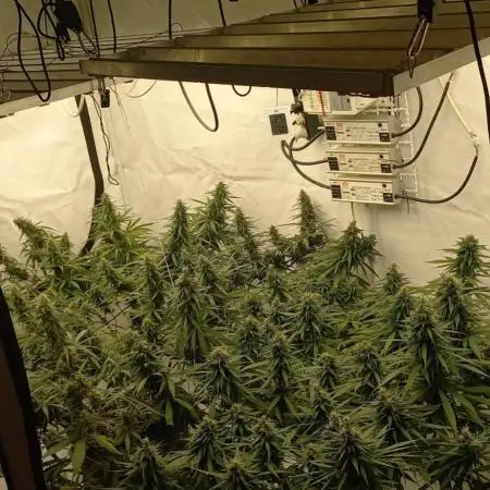 from out to indoor