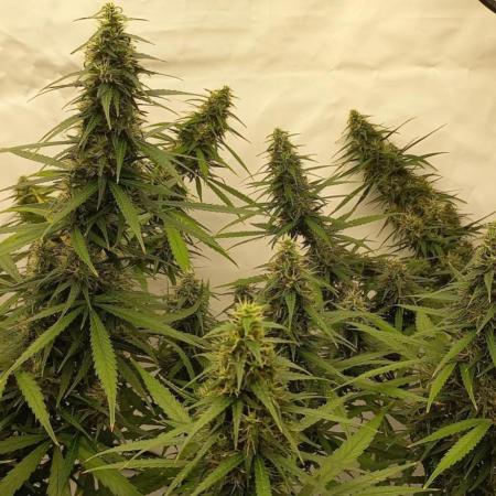 from out to indoor