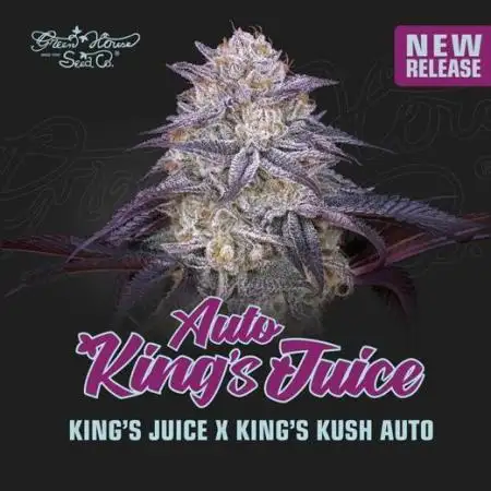Kings Juice Auto