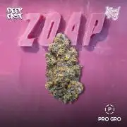Zoap - Outdoor 26
