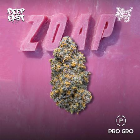 Zoap - Outdoor 26