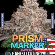 Prism Marker - Micro Grow