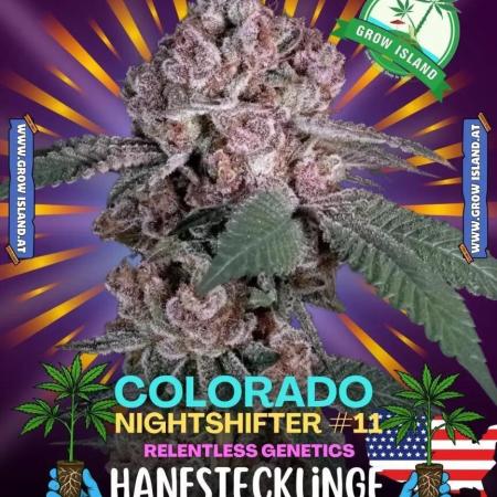 Colorado Nightshifter - Micro Grow