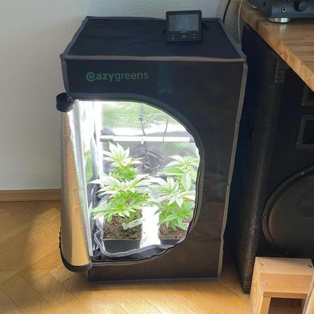 Frozen Biscotti - MicroGrow