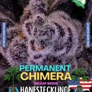 Permanent Chimera - Micro Grow