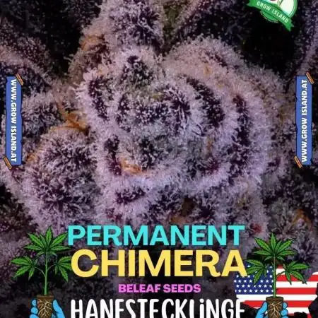 Permanent Chimera - Micro Grow