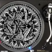 Emergen C - Micro Grow